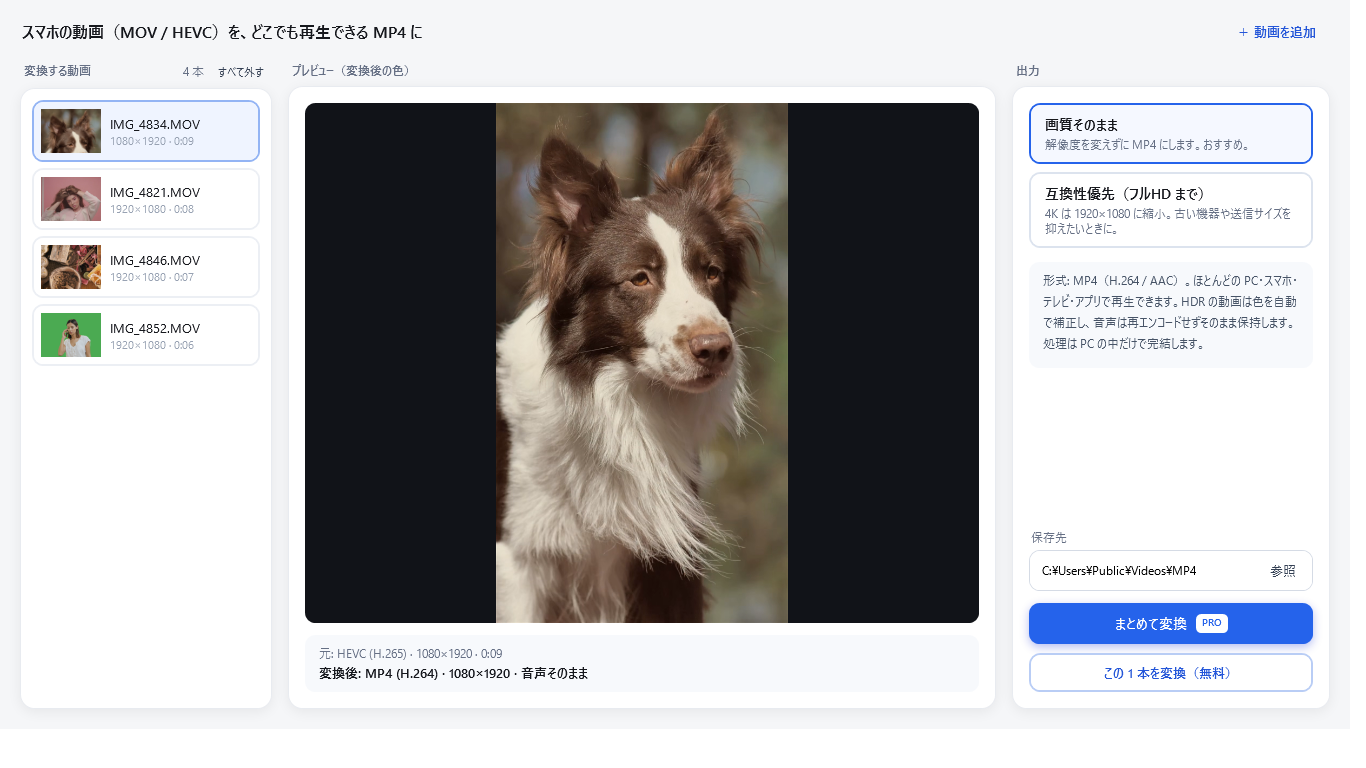 縦向きの動画を選んだ画面。変換後もそのままの向きでプレビューされている